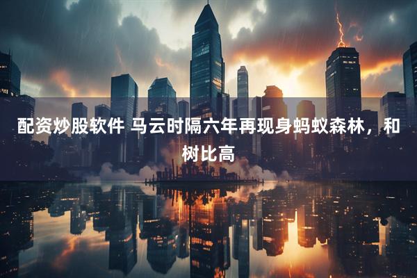 配资炒股软件 马云时隔六年再现身蚂蚁森林，和树比高