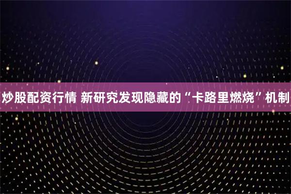 炒股配资行情 新研究发现隐藏的“卡路里燃烧”机制